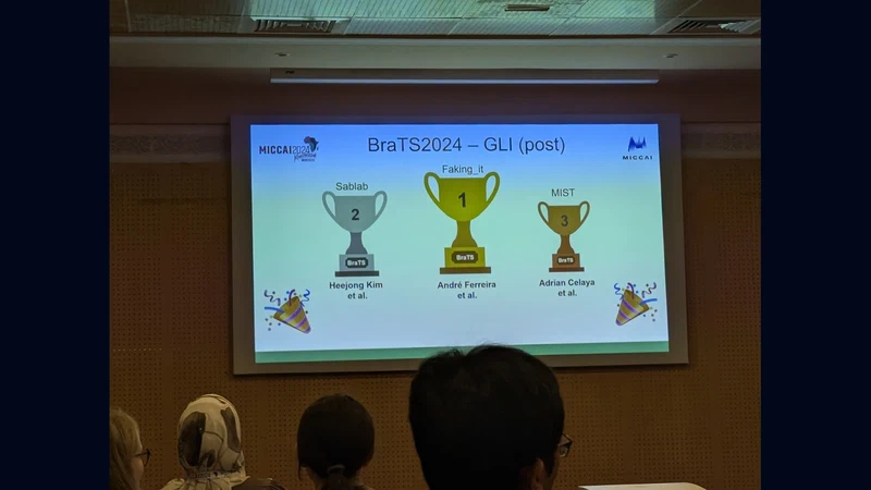 1st Place BraTS-GLI (post) Challenge, 2024