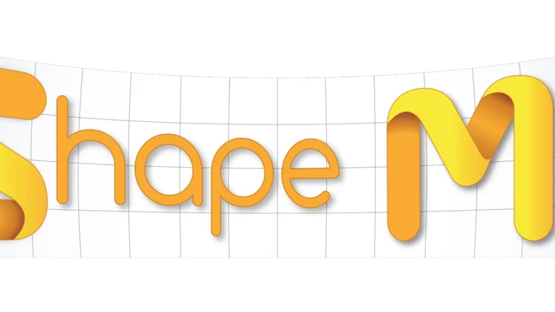 ShapeMI 2025