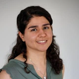 Negar Shahamiri