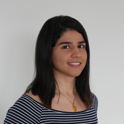 Negar Shahamiri
