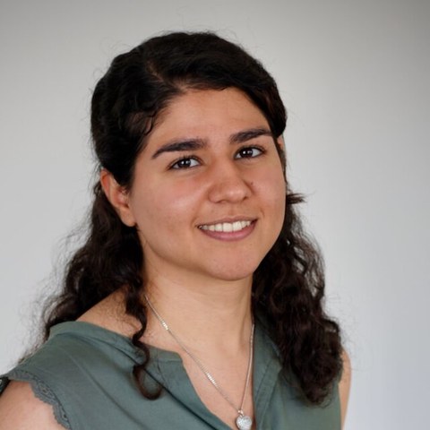 Negar Shahamiri