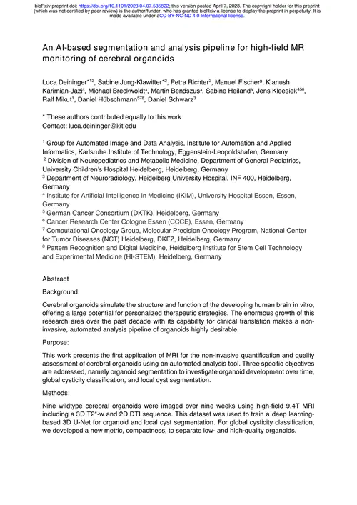 An AI-based segmentation and analysis pipeline for high-field MR monitoring of cerebral organoids