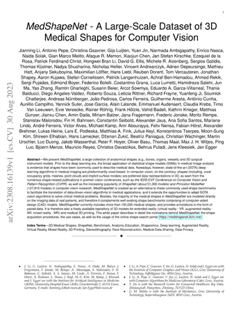 MedShapeNet -- A Large-Scale Dataset of 3D Medical Shapes for Computer Vision