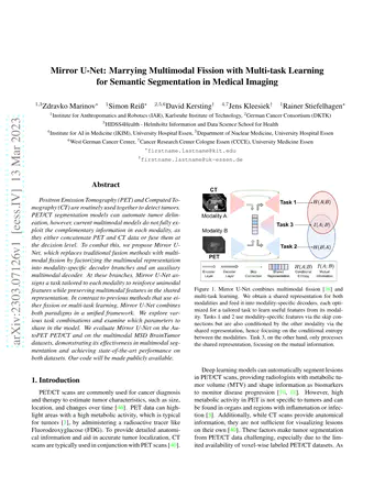 Mirror U-Net: Marrying Multimodal Fission with Multi-task Learning for Semantic Segmentation in Medical Imaging
