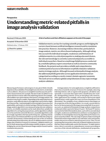 Understanding metric-related pitfalls in image analysis validation