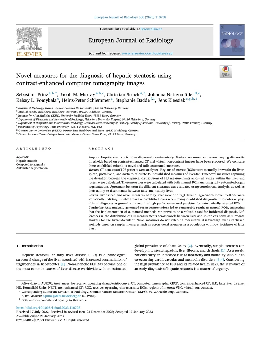 Novel measures for the diagnosis of hepatic steatosis using contrast-enhanced computer tomography images